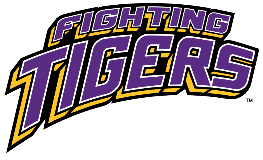 LSU Tigers 2002-2017 Wordmark Logo diy iron on heat transfer